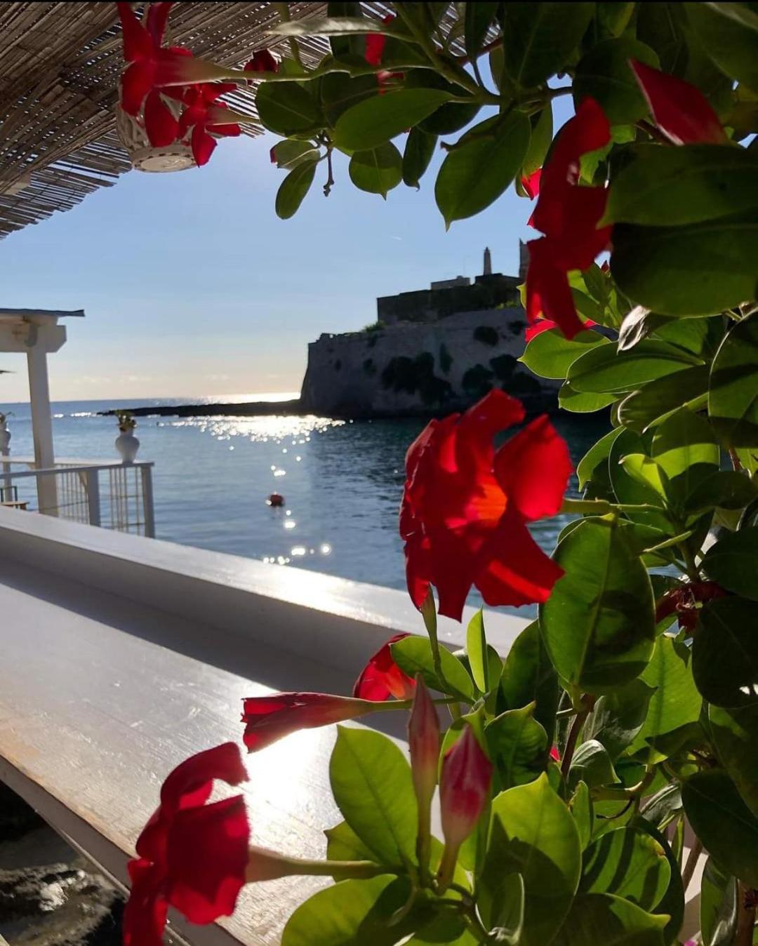 Casa Carlotta Villa Monopoli Eksteriør bilde